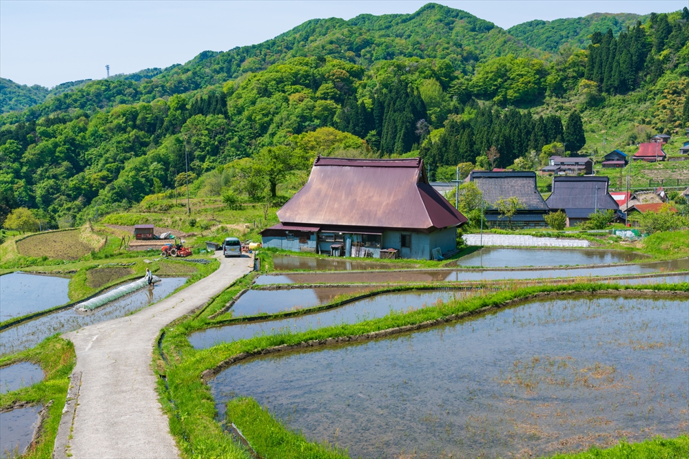 中古住宅_白蟻被害_傾向004